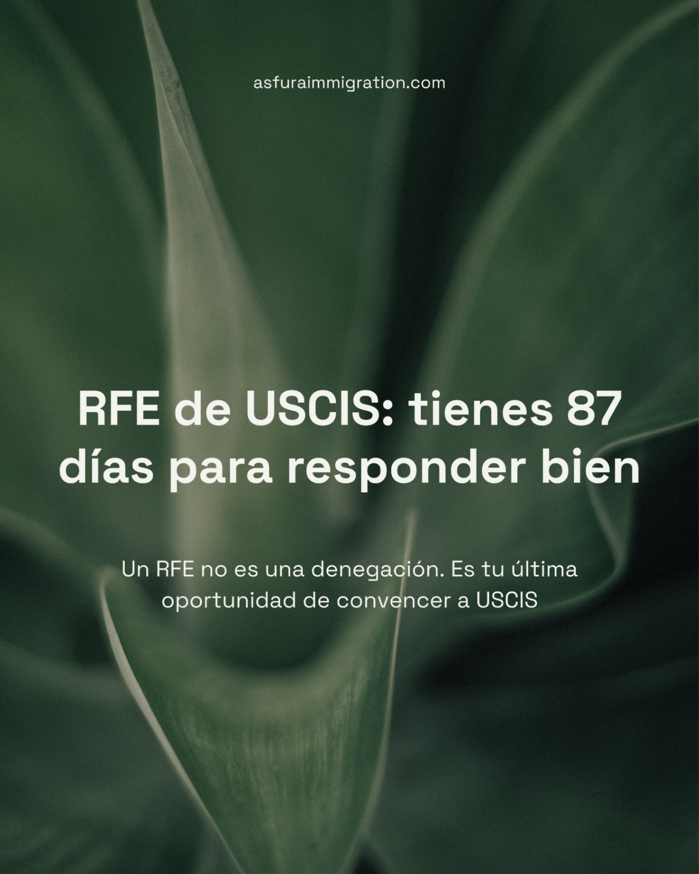 USCIS te mandó un RFE: cómo responder en 87 días